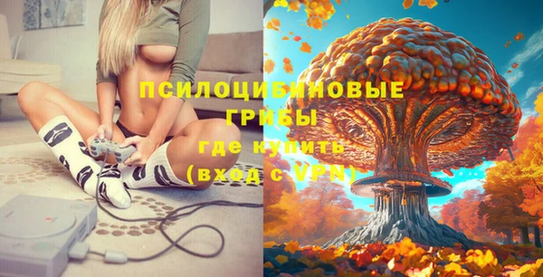 первитин Богородск