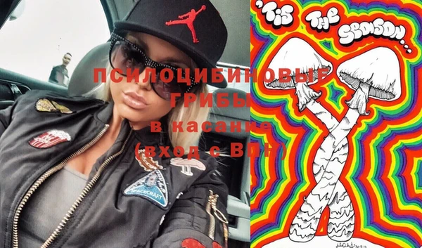 первитин Богородск
