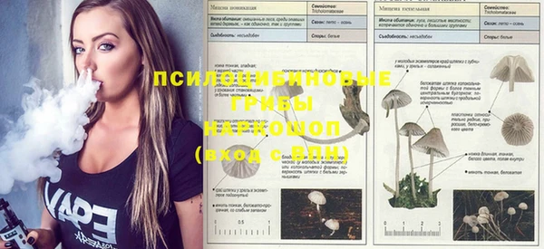 COCAINE Бородино