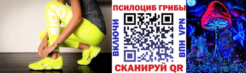 Псилоцибиновые грибы мицелий  купить наркотик  Юрюзань 